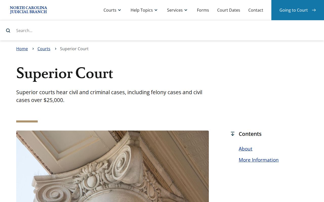 Madison County court docket Superior Court and specialty court context